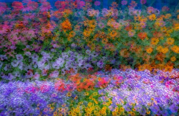 Gulin, Sylvia 아티스트의 USA-Washington State-Pacific Northwest-Sammamish colorful flowers and blue picket fence작품입니다.